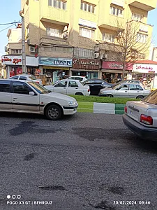 عینک چشم عسلی
