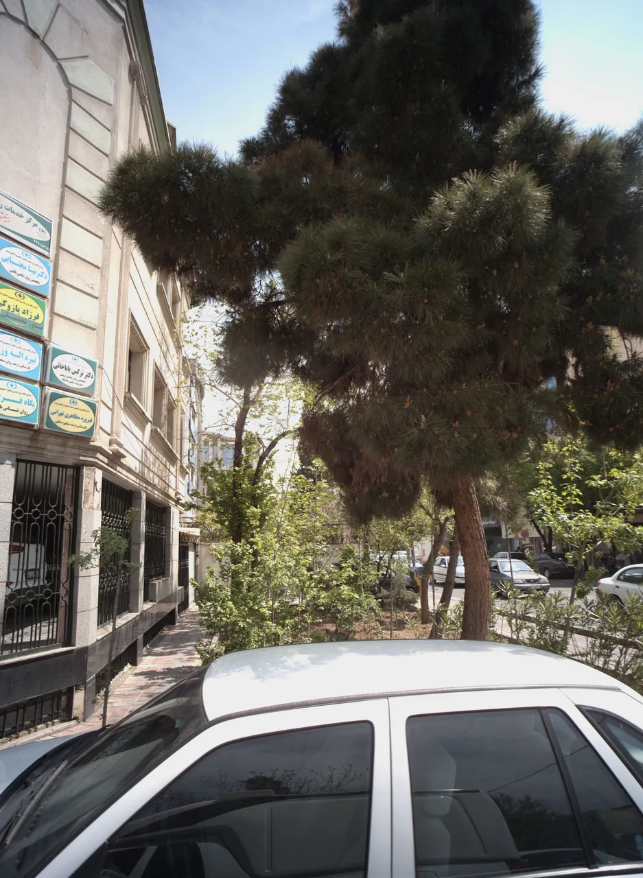 دکتر نرگس باباخانی