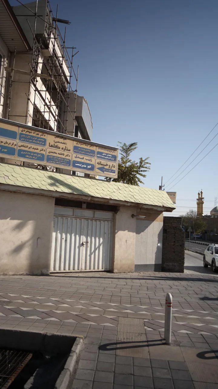 دکتر مریم مهدوی سعیدی - تصویر 3