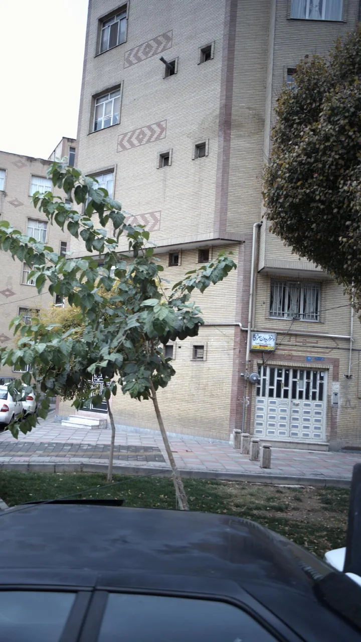 دکتر فریدون معزی