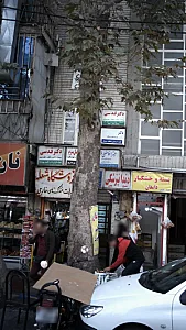 دکتر قدسی