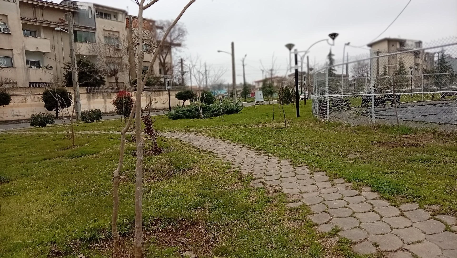 پارک ابریشم