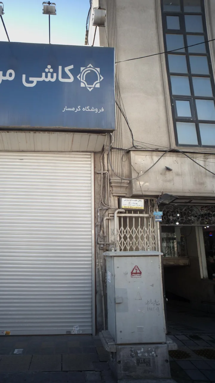 دکتر نفیسه فریدونی - تصویر 2