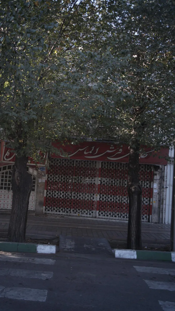 گالری فرش الماس