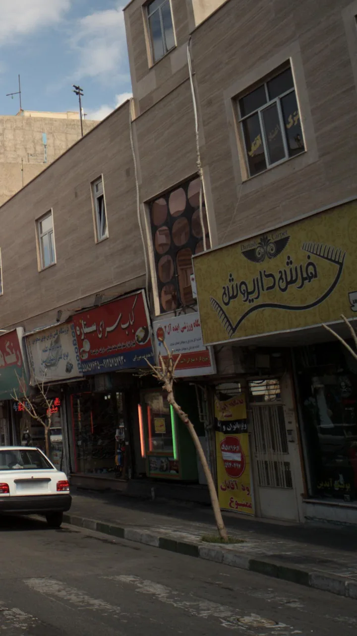 فرش داریوش