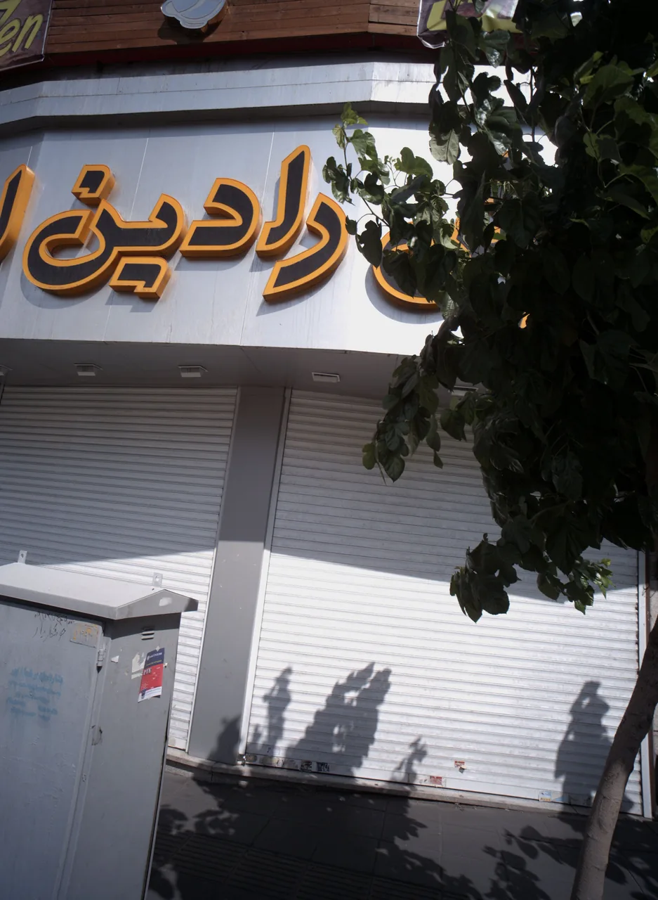 فرش رادین اصفهان