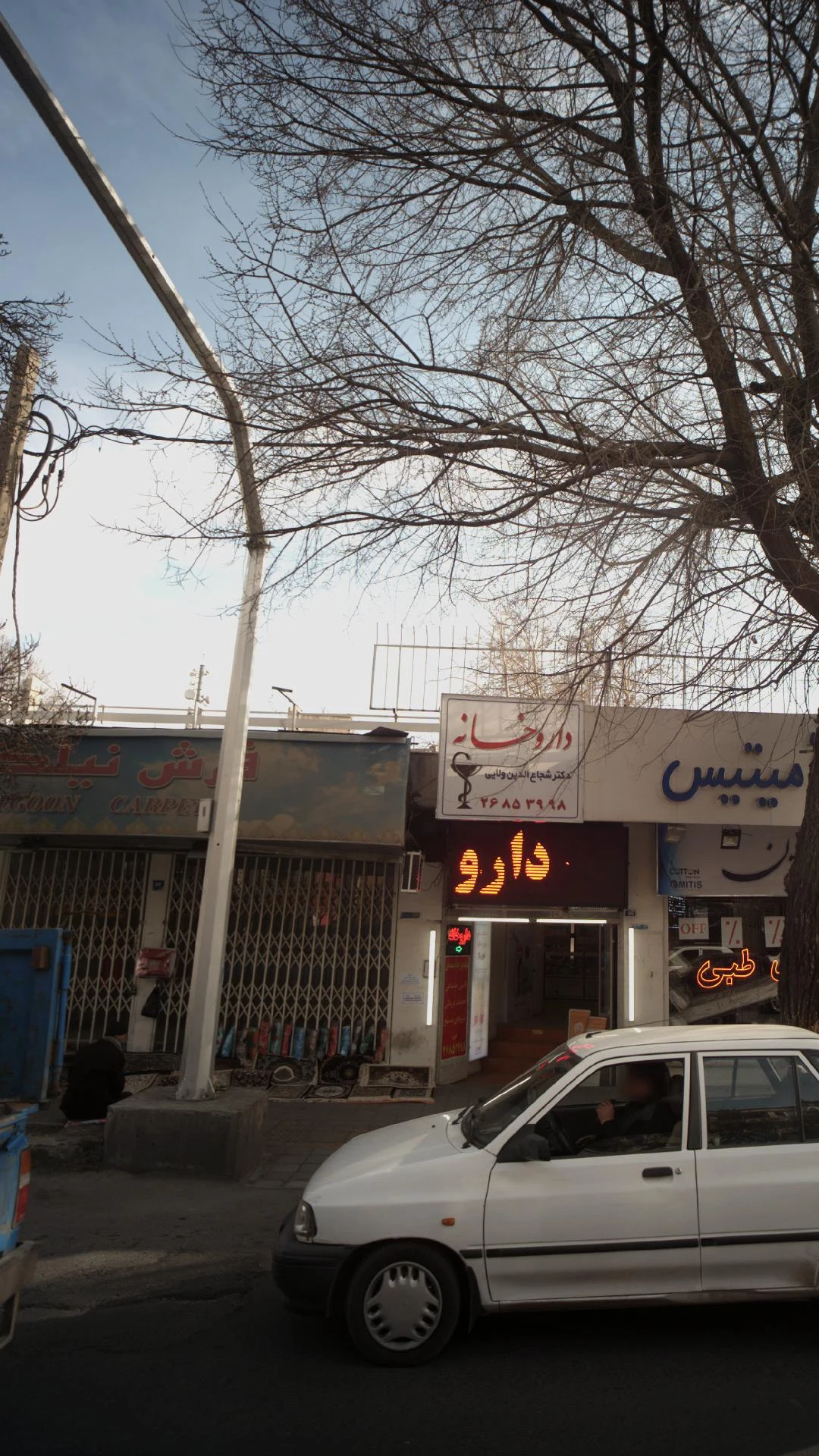 گالری فرش نامداری