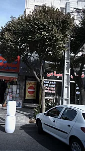 فرش صیامی