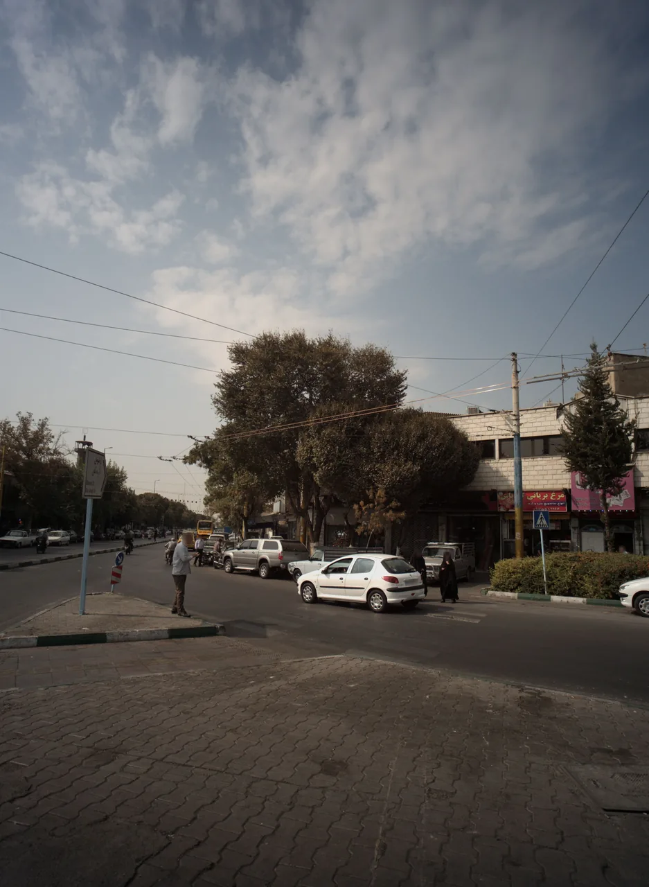 فروشگاه فرش و موکت ماهان