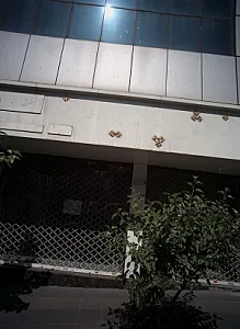 فرش پردیسان