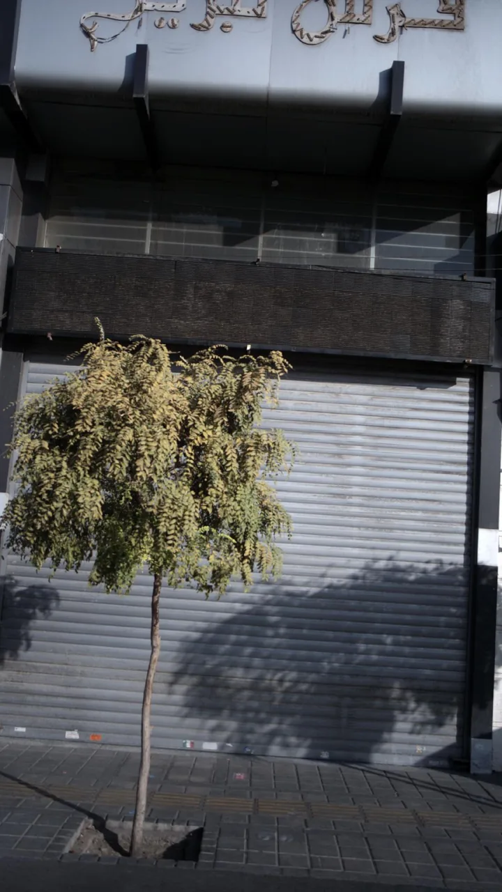 فر ش تبریز - تصویر 2