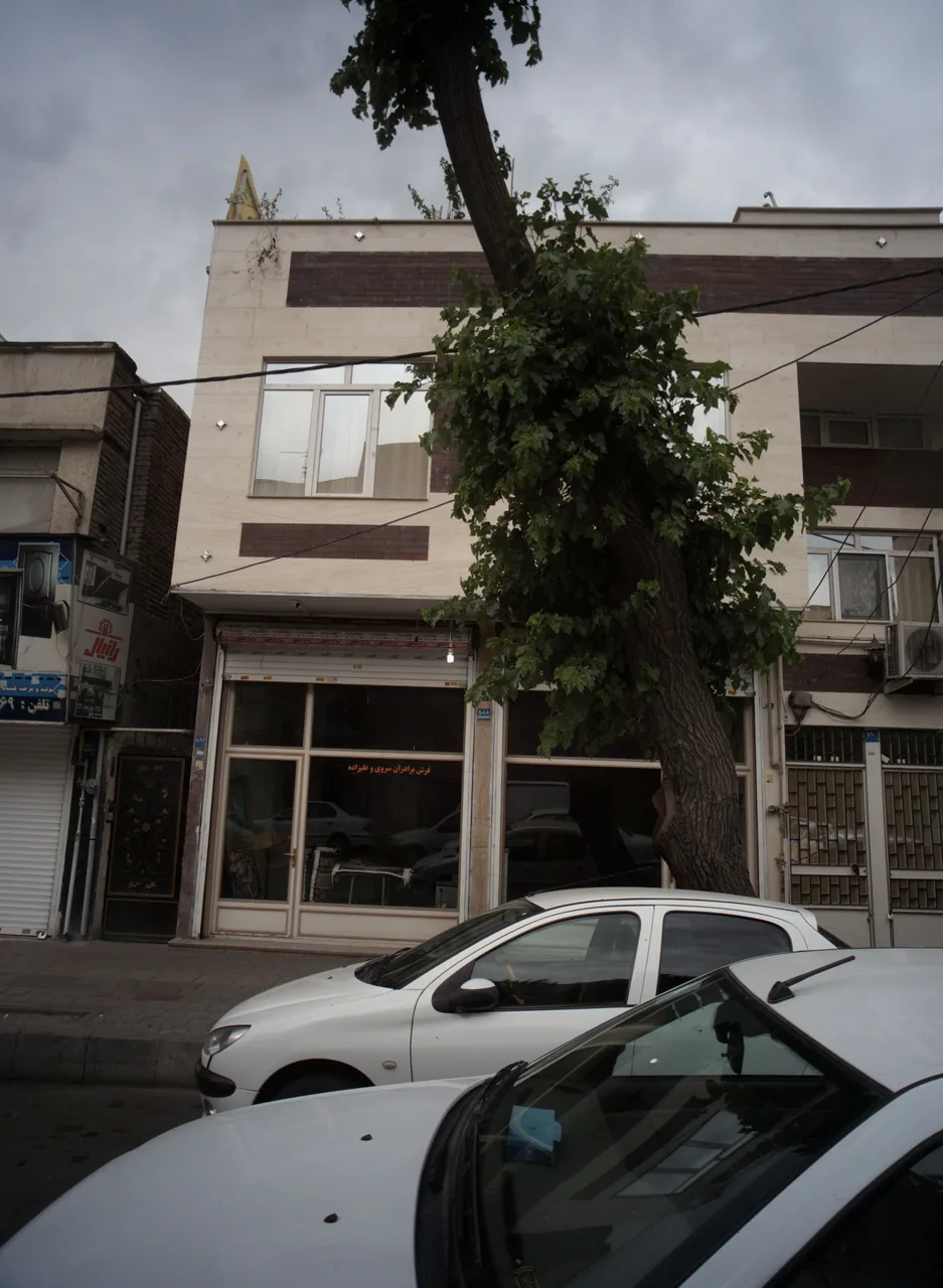 فرش برادران سروی و علیزاده
