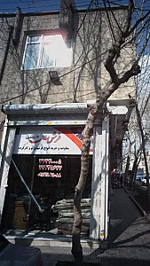 فرش سامان