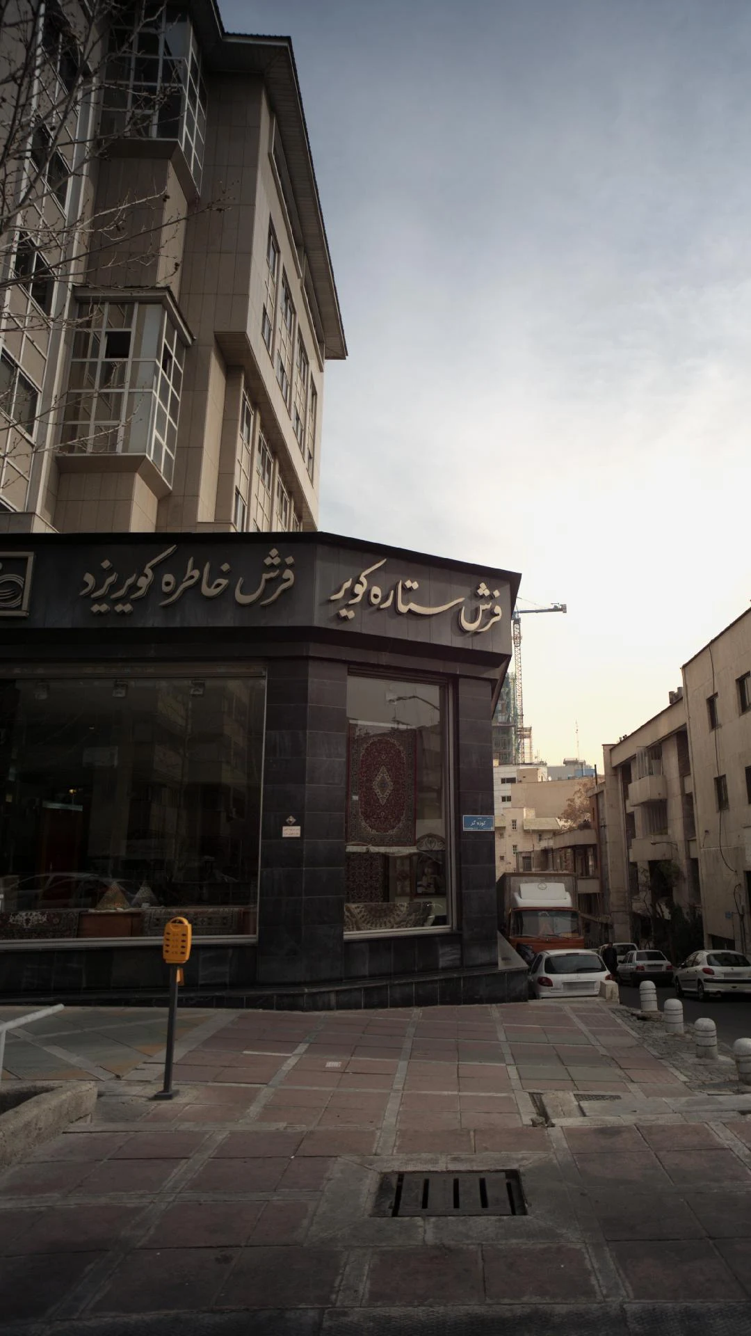 شرکت فرش دلژین