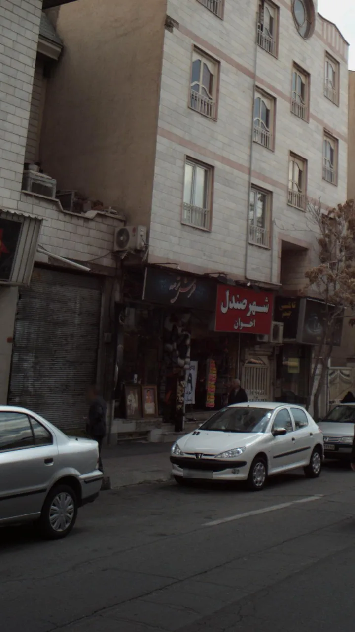 فرش ترمه - تصویر 3