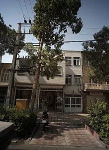 فرش شاه نقش