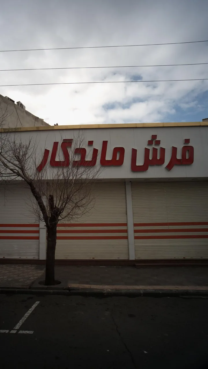 فرش ماندگار
