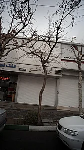 گالری فرش گلدوست