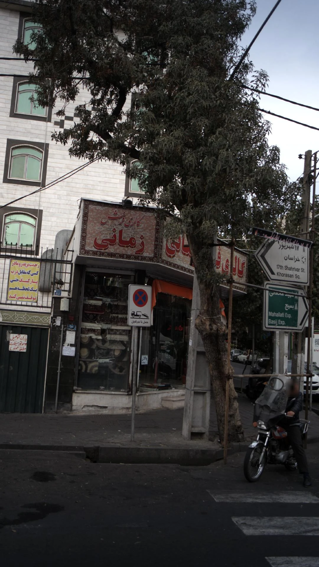 گالری تابلو و فرش فدک