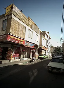 پادزموکت فرش گلسرخ ریشه