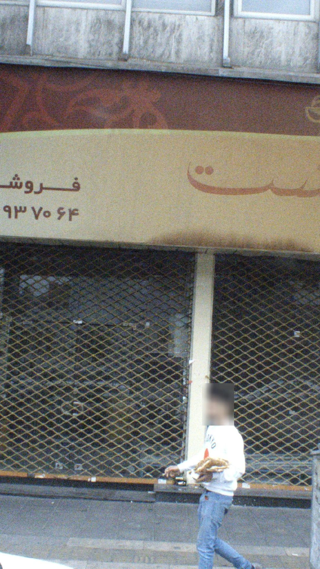 نقش نگار رضوی