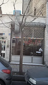 فرش نگین