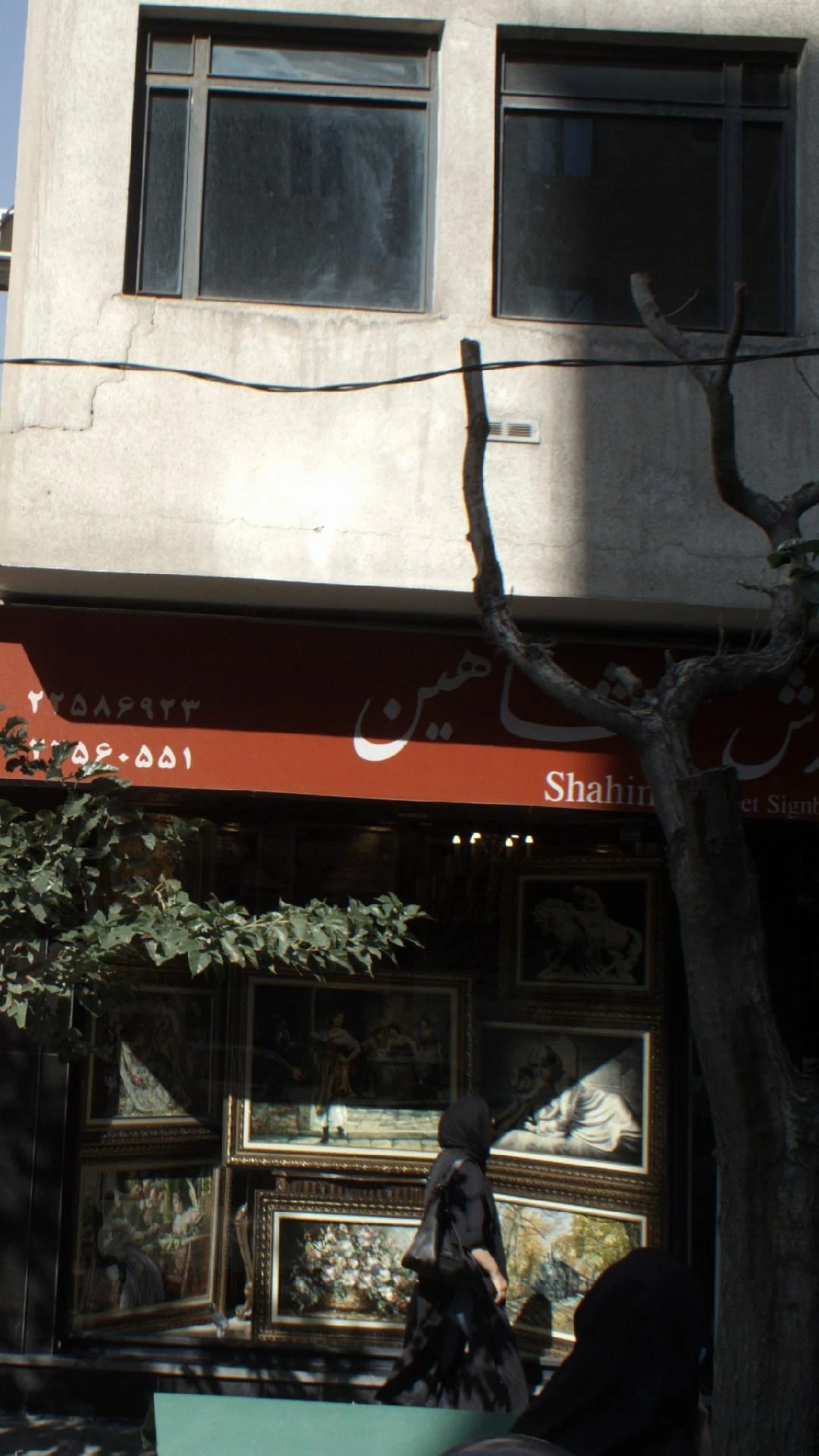 فرش دیبا شعبه پاسداران - تصویر 2