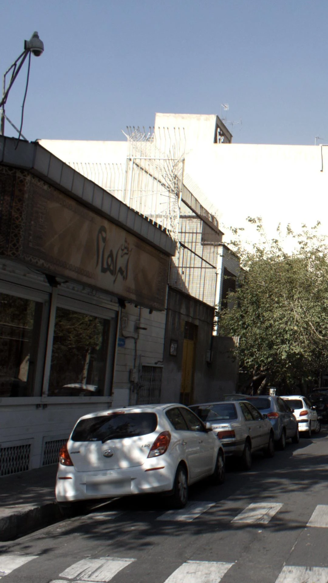 فرش دیبا شعبه پاسداران - تصویر 3