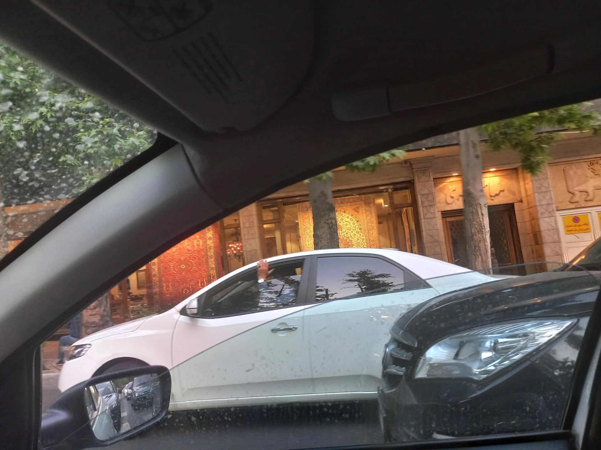فرش شفقی ولیعصر
