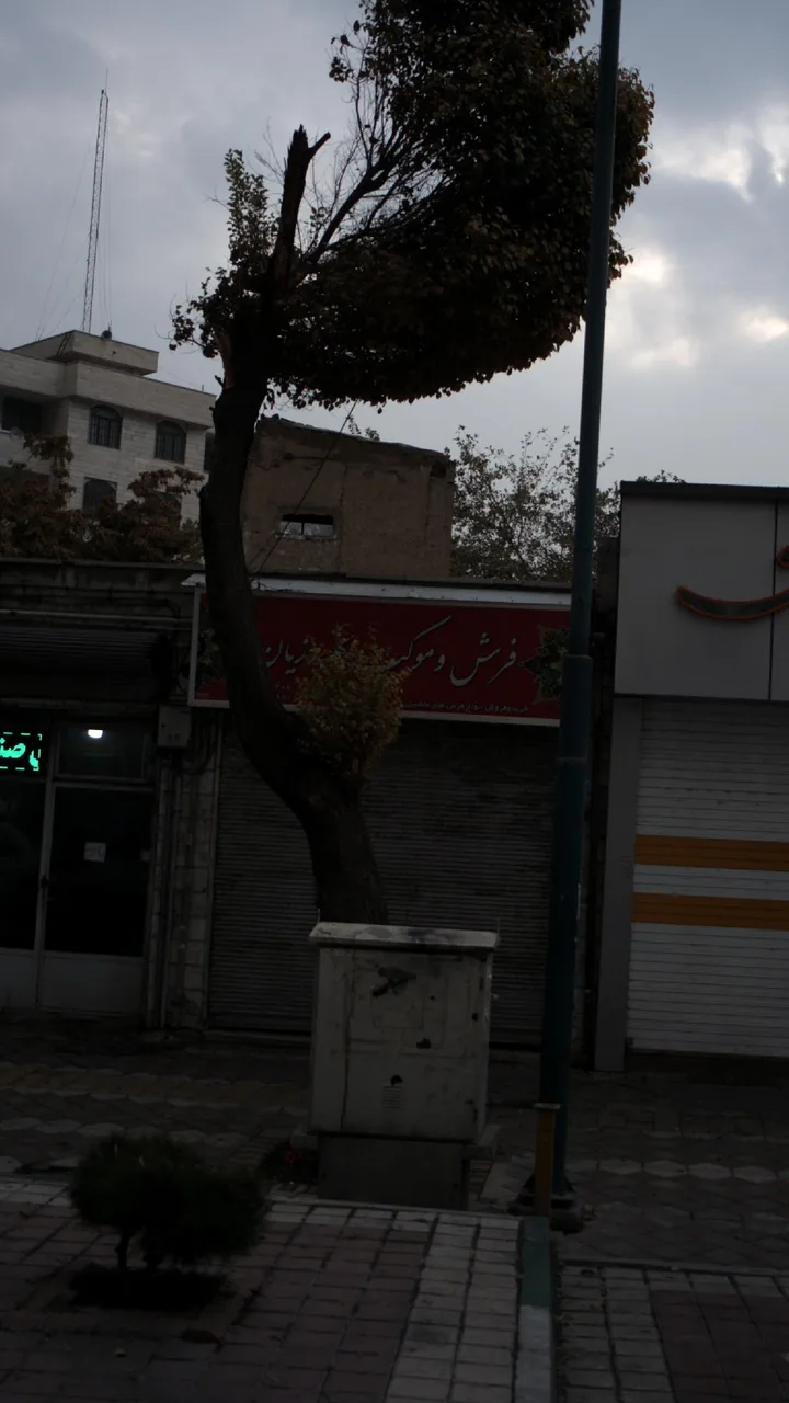 فرش و موکت بهروزیان