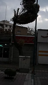 فرش و موکت بهروزیان