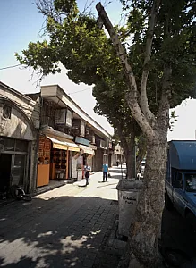 فرش شاهی