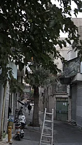 فرش علیزاده