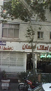 مشاورین املاک ارمغان
