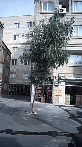 مشاور املاک صالحی