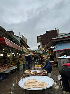 راسته ماهی فروشان