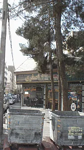 املاک اصغری