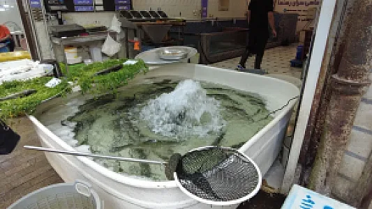 بازار بزرگ رشت