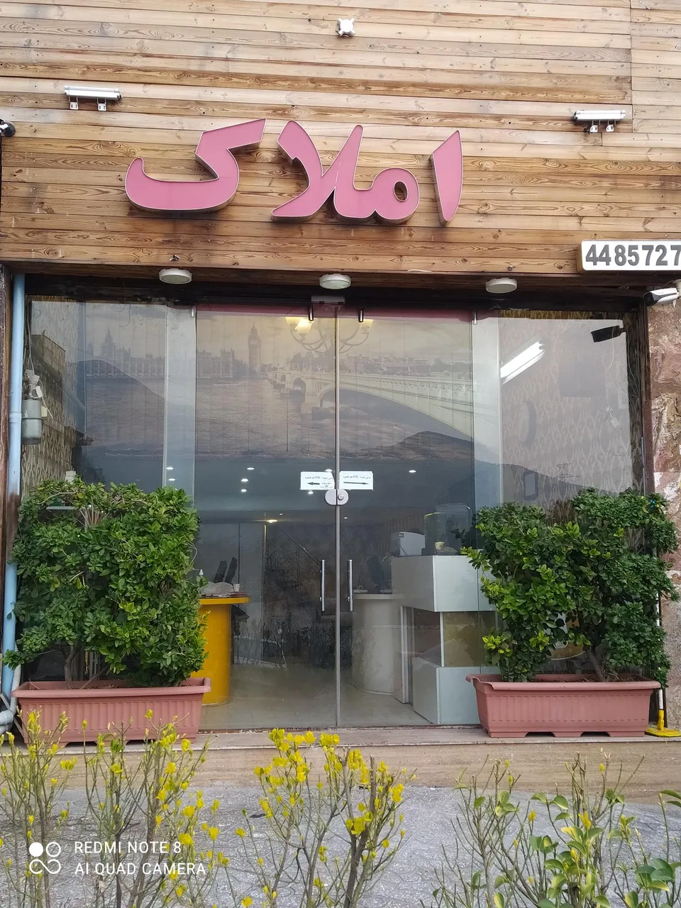 املاک حرفه ای