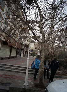 املاک یاران
