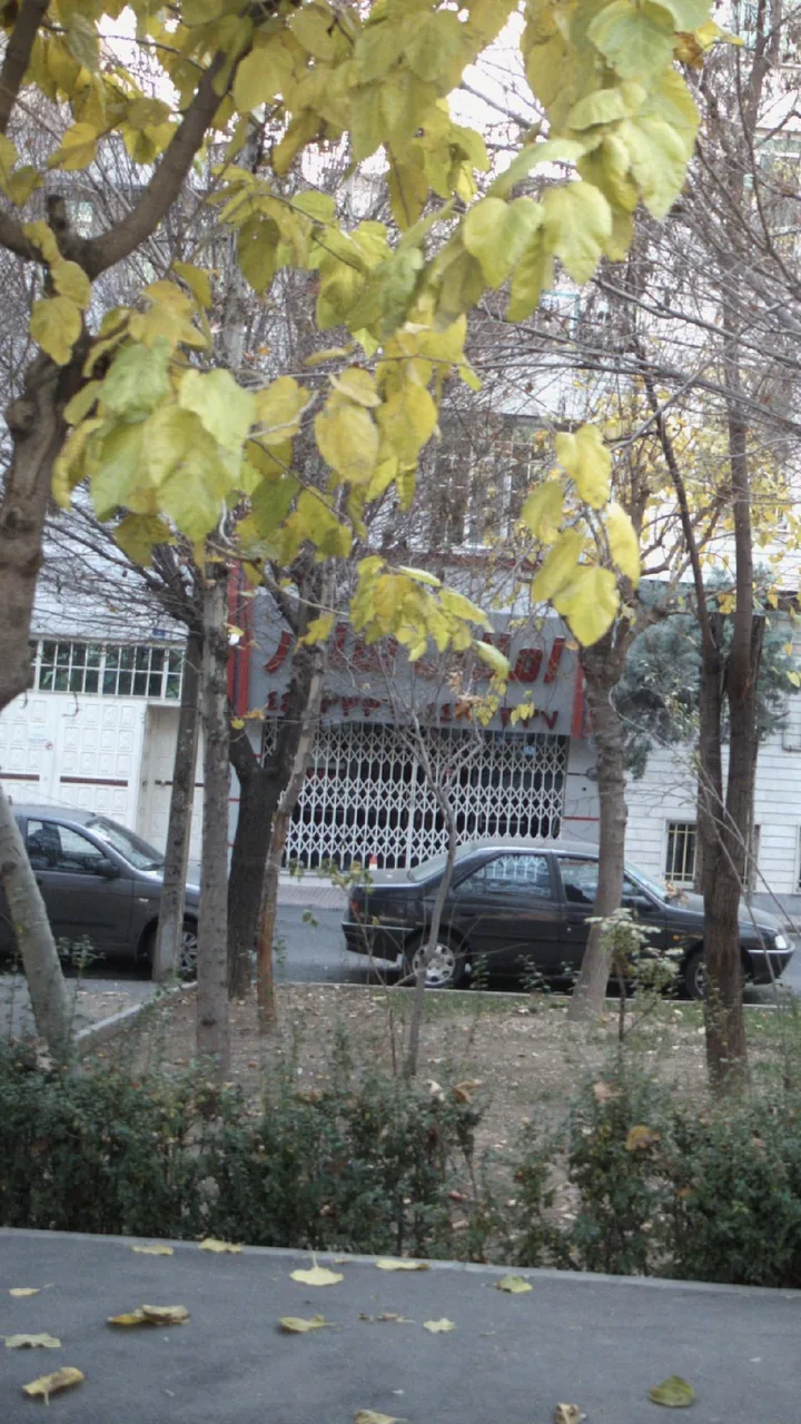 مشاورین املاک خانه سبز - تصویر 3