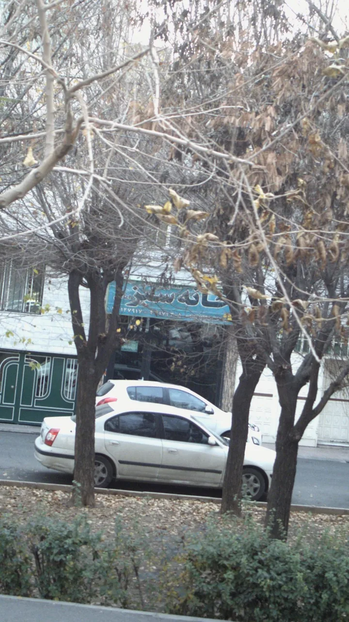 مشاورین املاک خانه سبز - تصویر 4