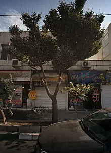 مشاورین املاک شهریار