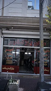 مشاور املاک امیر