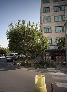 مشاور املاک طیبی