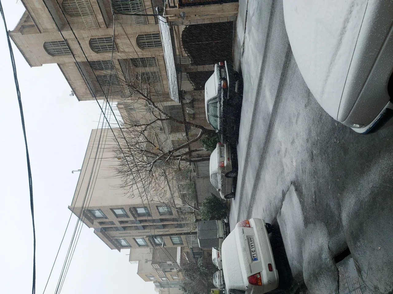 املاک مرزداران - تصویر 2