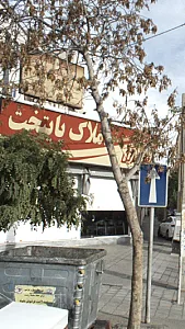 املاک پایتخت