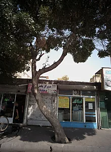 مشاور املاک ری