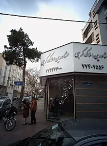 مشاورین املاک گرجی