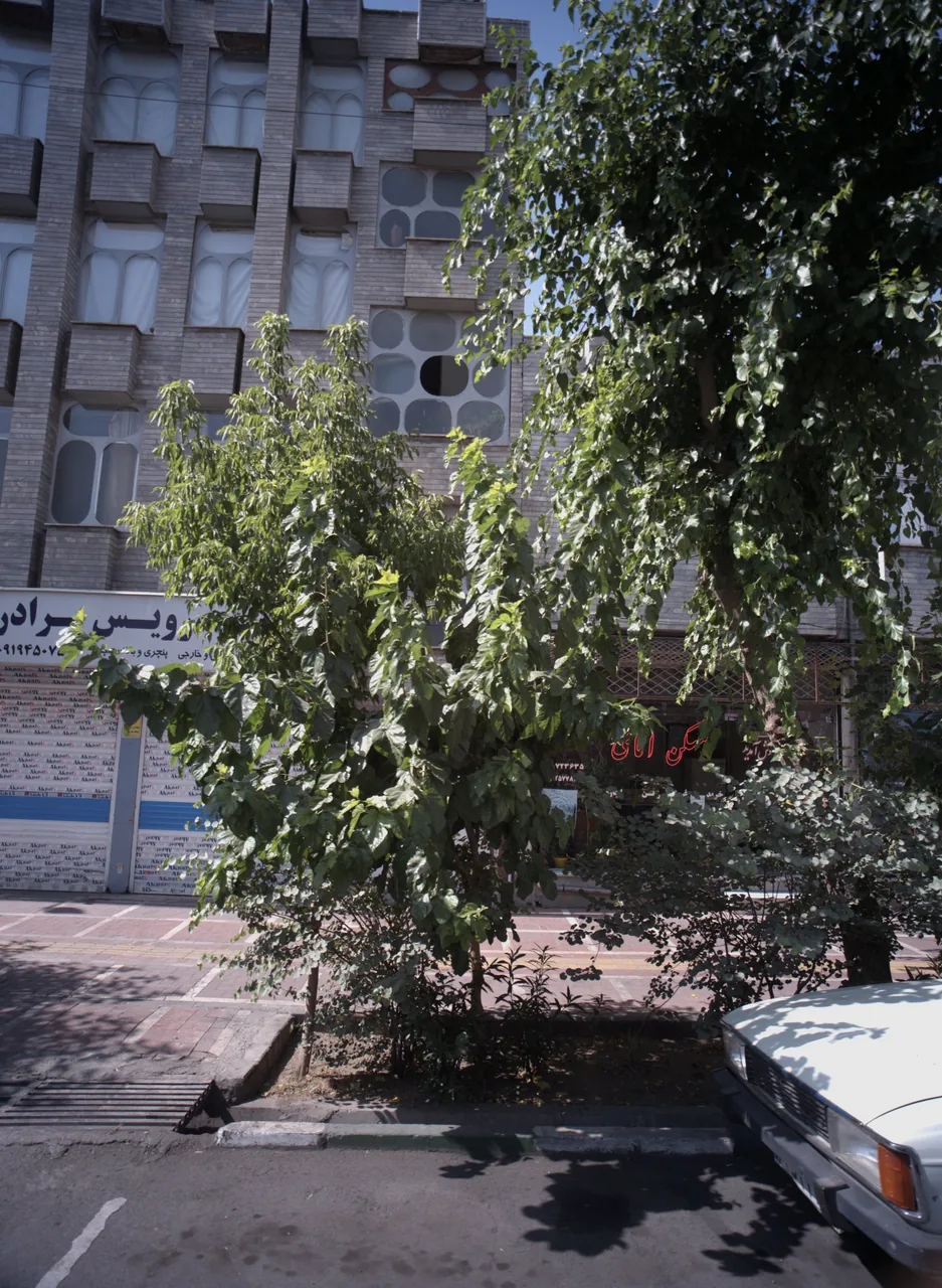 مسکن امامی